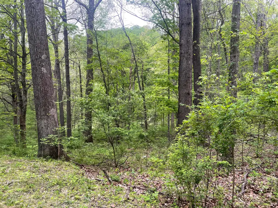 12593 Trillium Way, Rockbridge, OH 43149 - #2