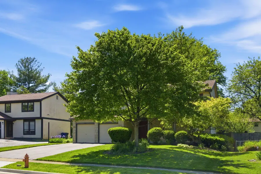 6584 Brock Street, Dublin, OH 43017 - #3