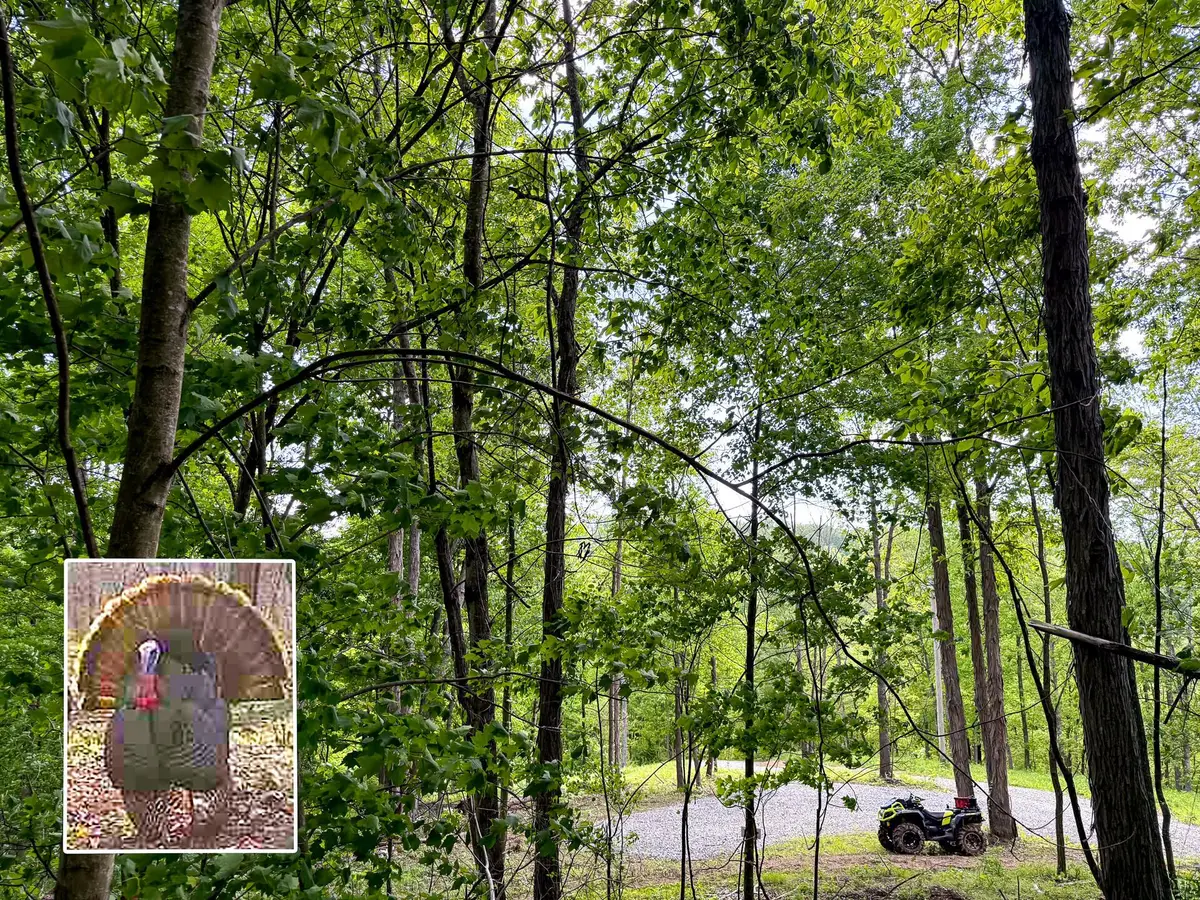0 Little Kyger Road, Cheshire, OH 45620 - #1