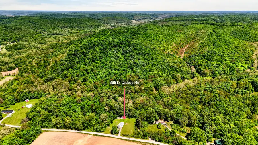36818 Dickey Road, Ray, OH 45672 - #3