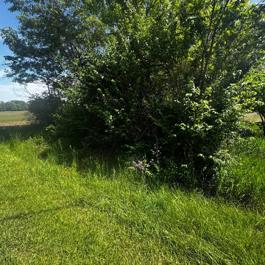 0 Brown Road, Ostrander, OH 43061 - #2