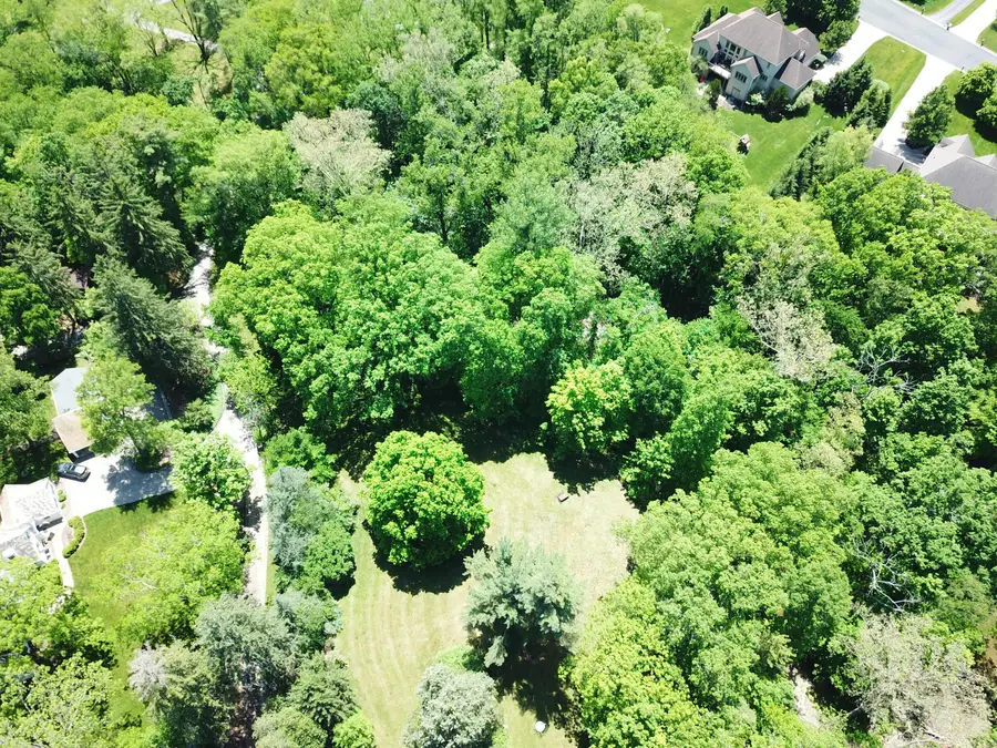 1428 Jewett Road, Powell, OH 43065 - #3