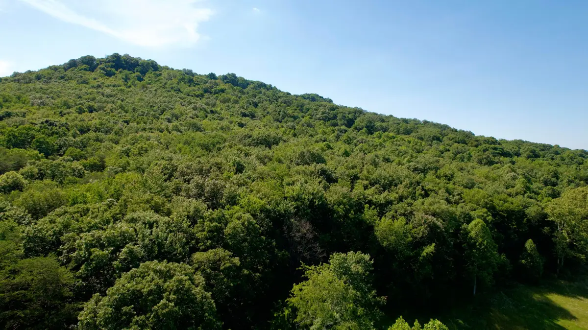 0 State Route 104, Lucasville, OH 45648 - #1