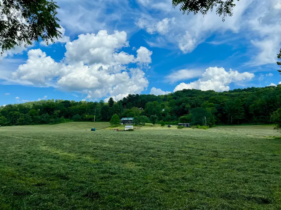 7455 Old Grade Road, Chesterhill, OH 43728 - #2