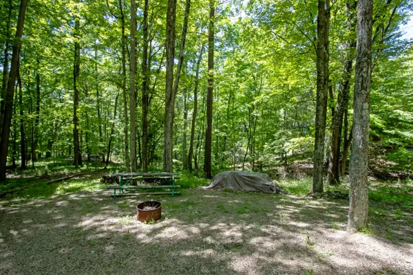 16135 Township Road 211, Loudonville, OH 44842