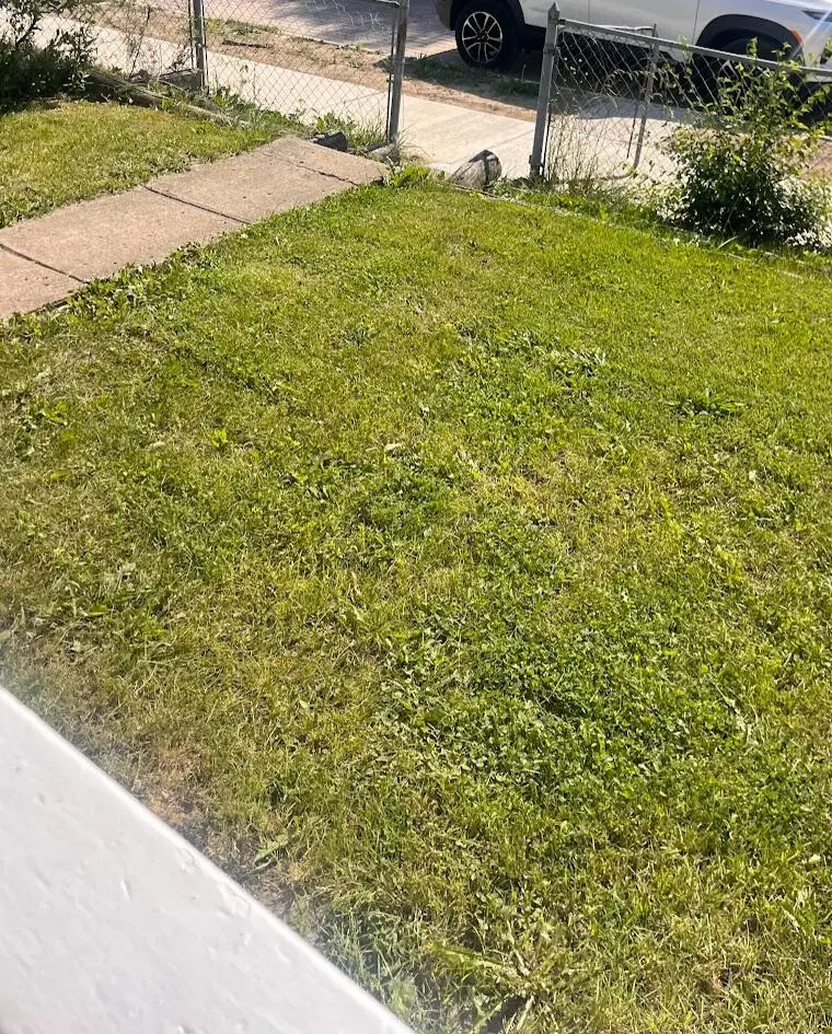 286 S Richardson Avenue, Columbus, OH 43204 - #3
