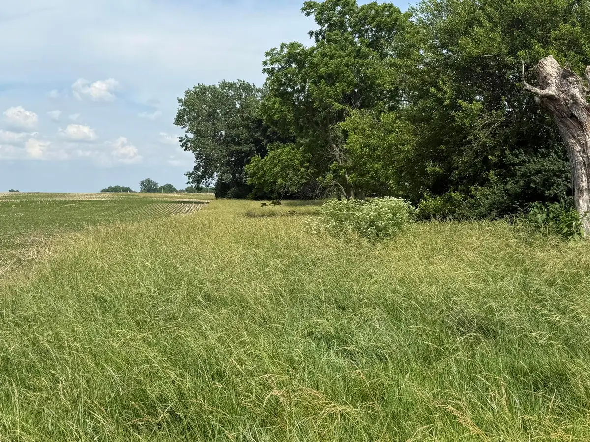 498 Junk Road, Clarksburg, OH 43115 - #1