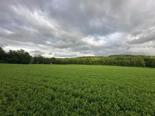 9164 Township Rd 51, Mount Perry, OH 43760