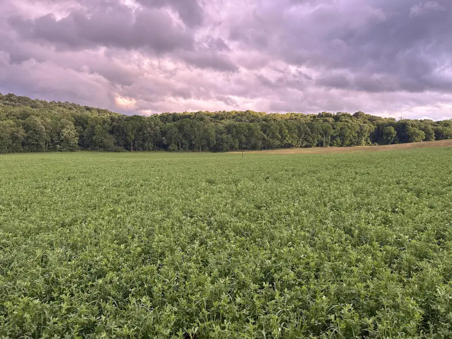 0 Township Rd 51, Mount Perry, OH 43760 - #2