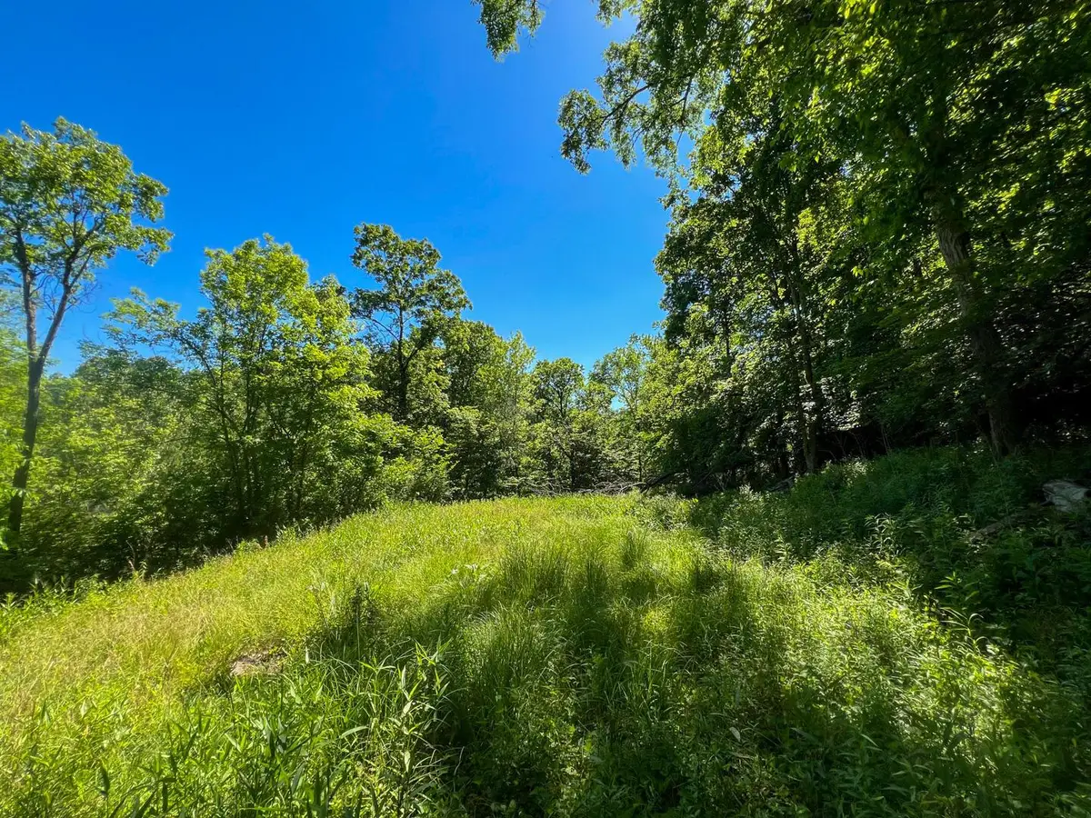 0 Rush Run Road, Rayland, OH 43943 - #1