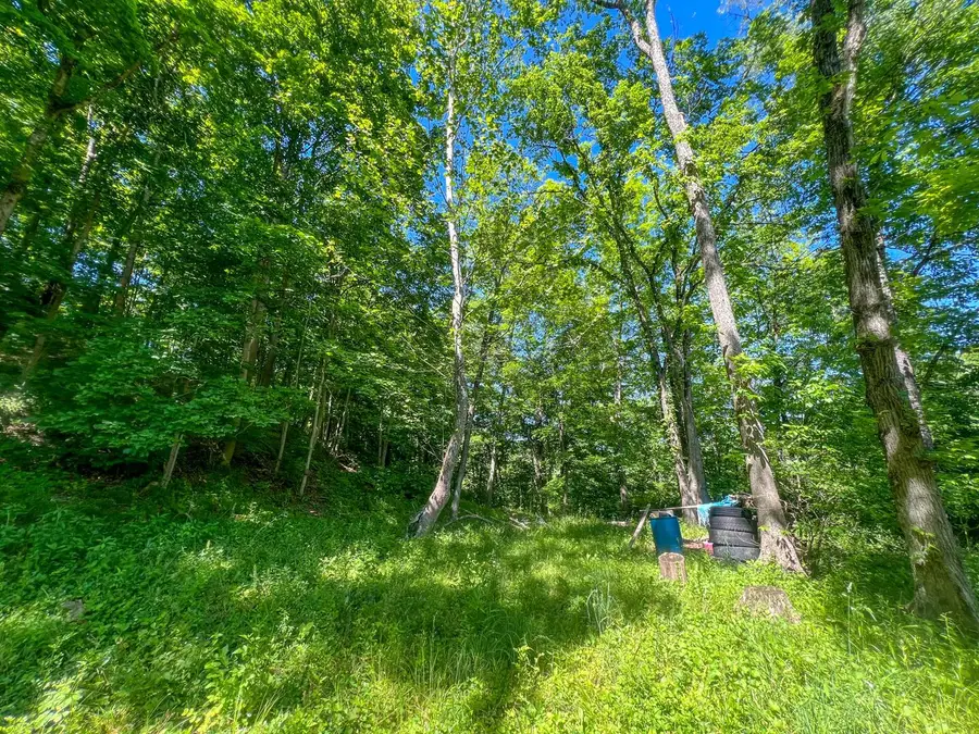 0 Rush Run Road, Rayland, OH 43943 - #2