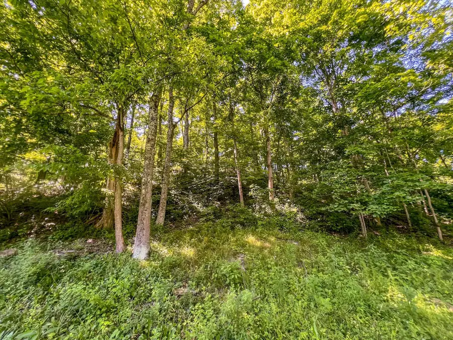 0 Rush Run Road, Rayland, OH 43943 - #3