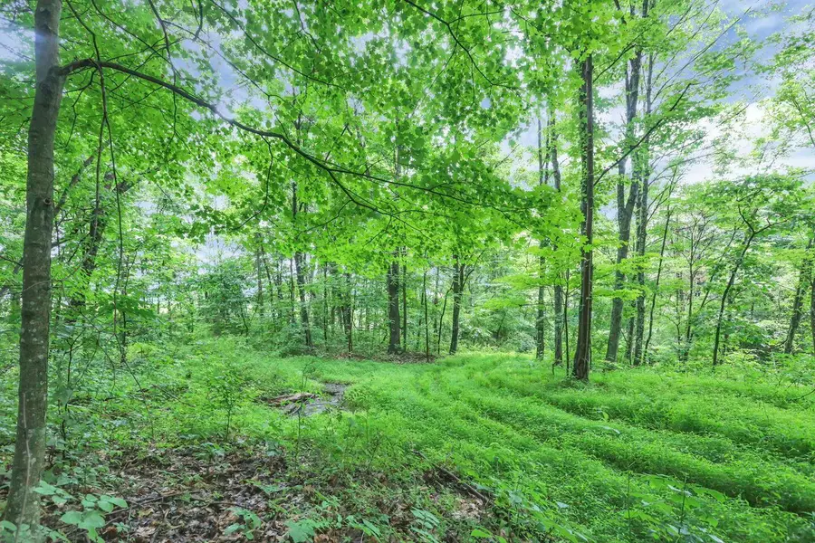 16749 Mush Run Road, Athens, OH 45701 - #3