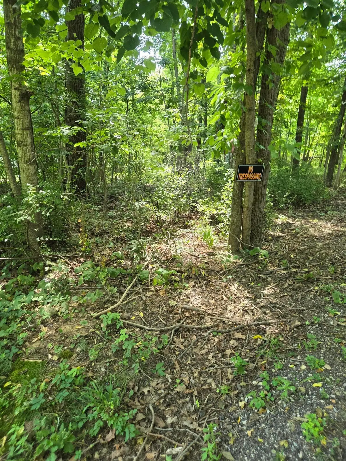0 Myrna Drive N, Powell, OH 43065 - #1