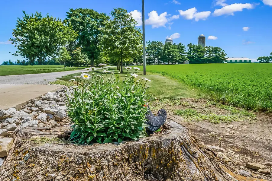 3866 State Route 203, Radnor, OH 43066 - #3