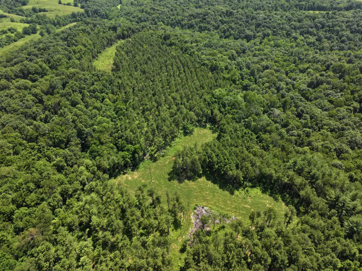 0 Tract D E. Reinersville Road, McConnelsville, OH 43756 - #1