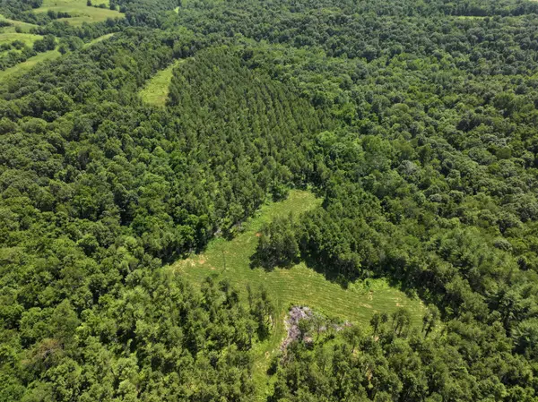0 Tract D E. Reinersville Road, Mcconnelsville, OH 43756