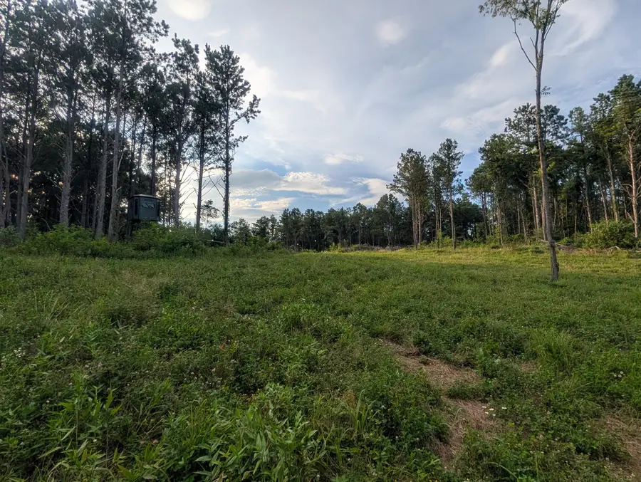 0 Tract D E. Reinersville Road, McConnelsville, OH 43756 - #2