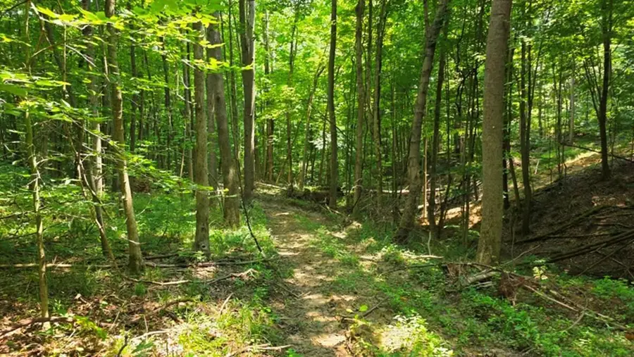0 Dennis Lane, Zanesville, OH 43701 - #2