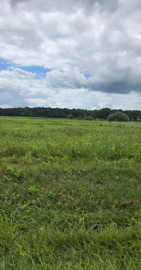 26065 Lunda Road, West Mansfield, OH 43358