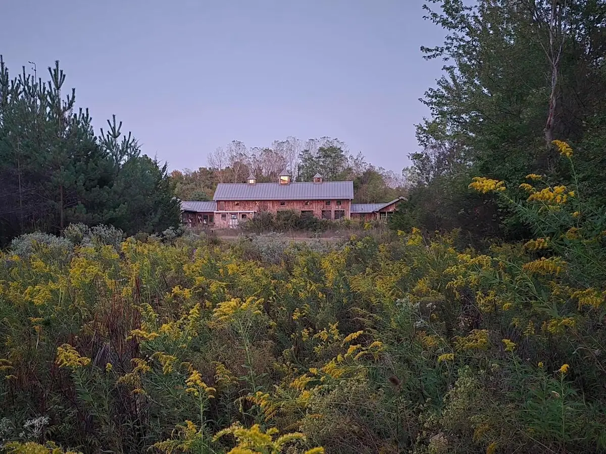 5441 Cheshire Road, Galena, OH 43021 - #1