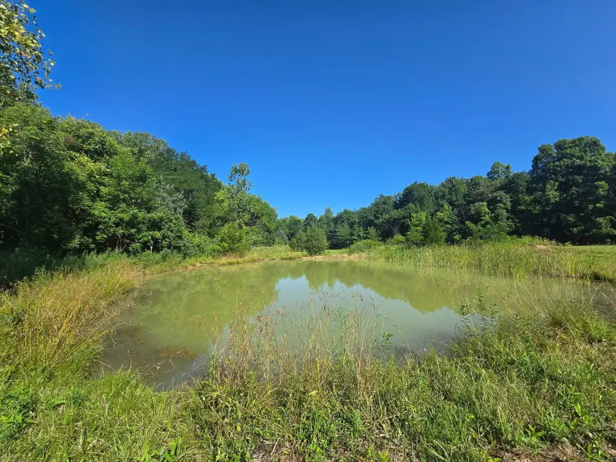 5441 Cheshire Road, Galena, OH 43021 - #3