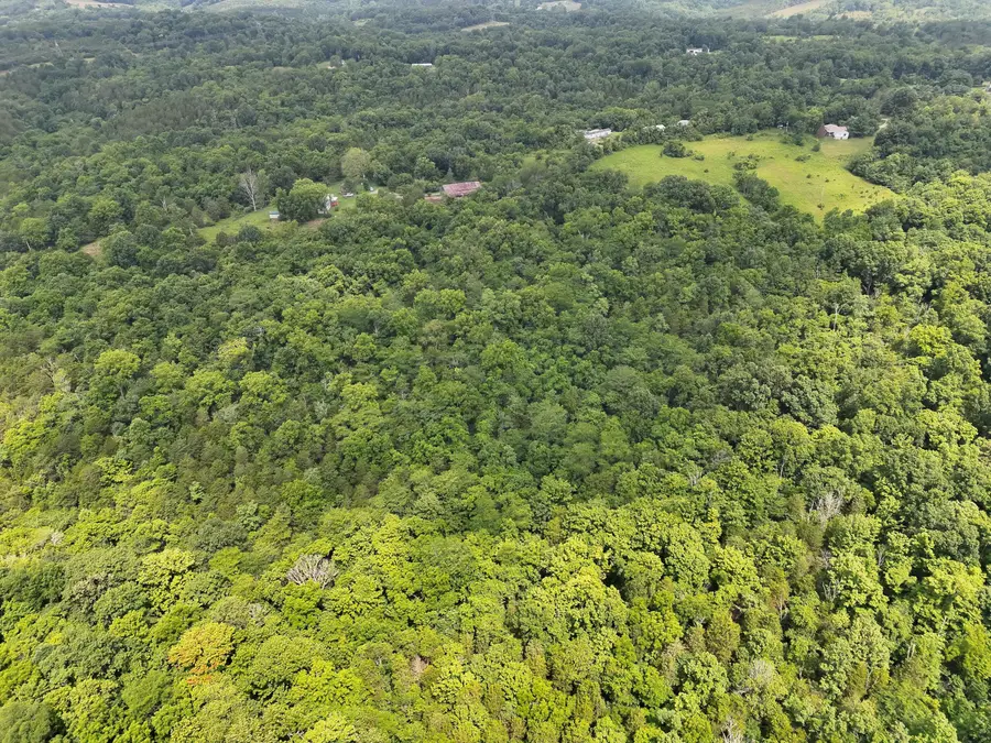 805 Wilma Lane, Manchester, OH 45144 - #3