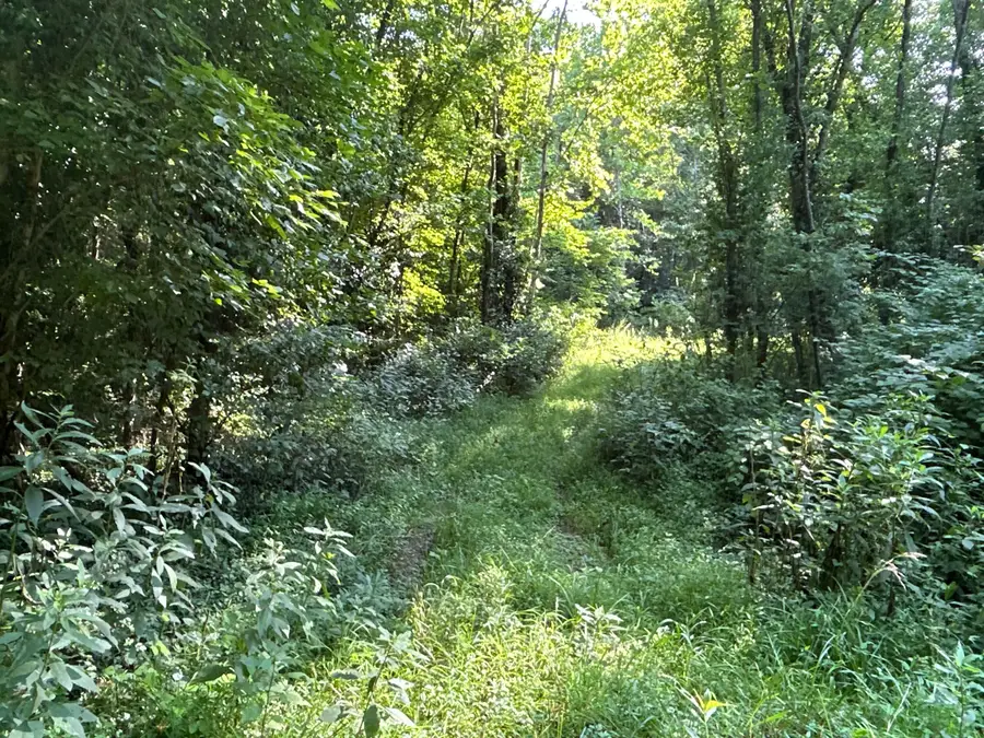 0 Belvdere Lane, Gallipolis, OH 45631 - #3