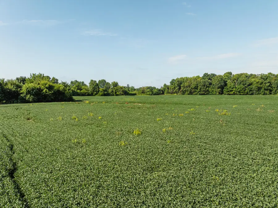 0 Sycamore Road, Centerburg, OH 43011 - #2