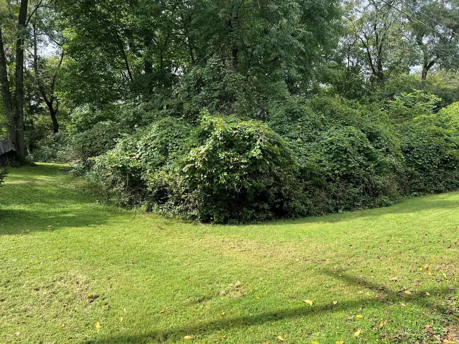 62 Kurrley Street, Delaware, OH 43015 - #3