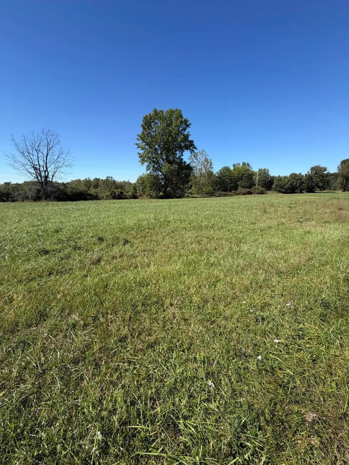 7326 State Route 19, Mount Gilead, OH 43338 - #1