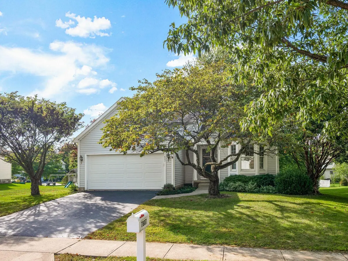7807 Williamson Lane, Canal Winchester, OH 43110 - #1
