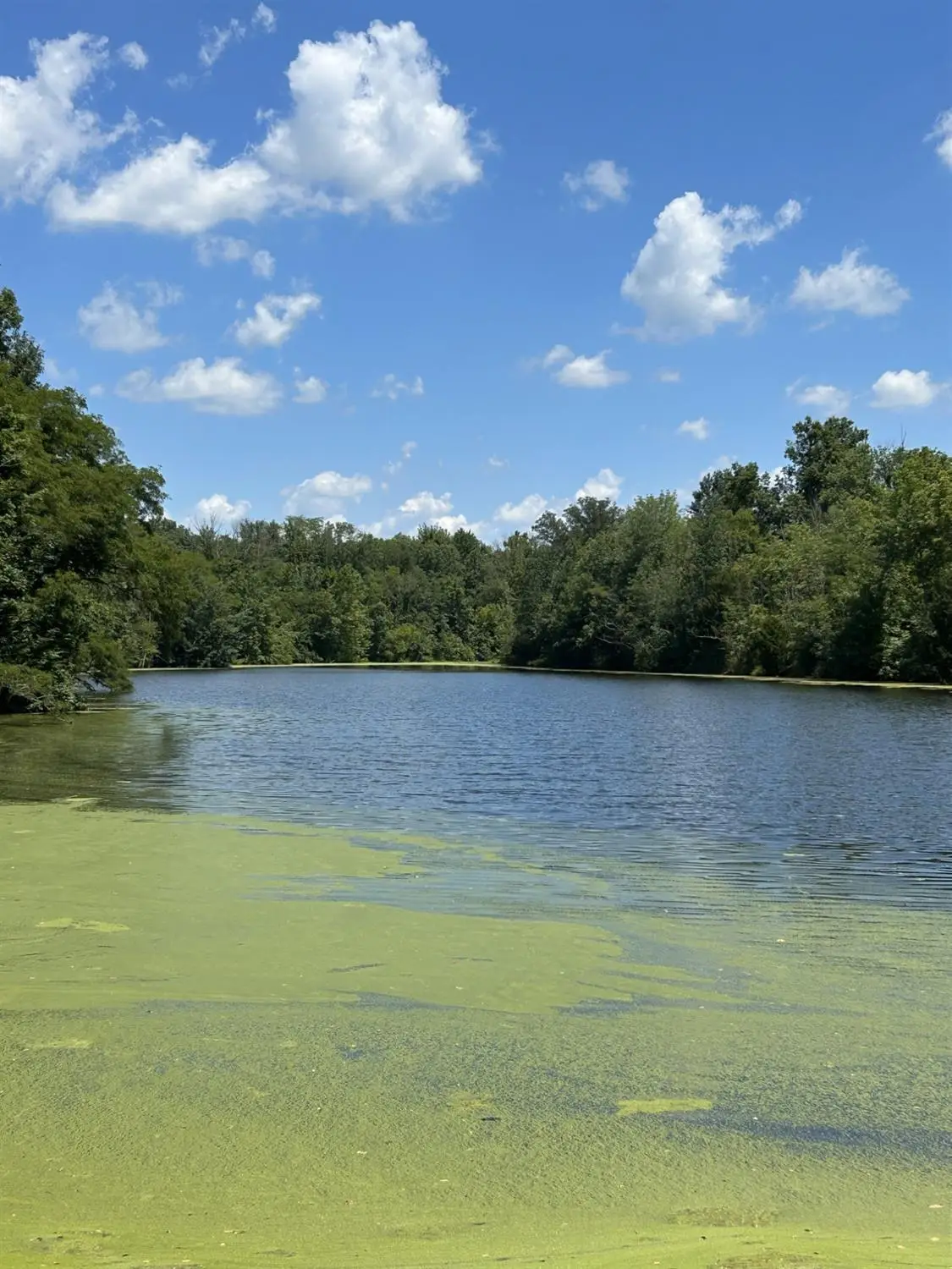 0 N St Rt 32, Sardinia, OH 45171 - Image #1