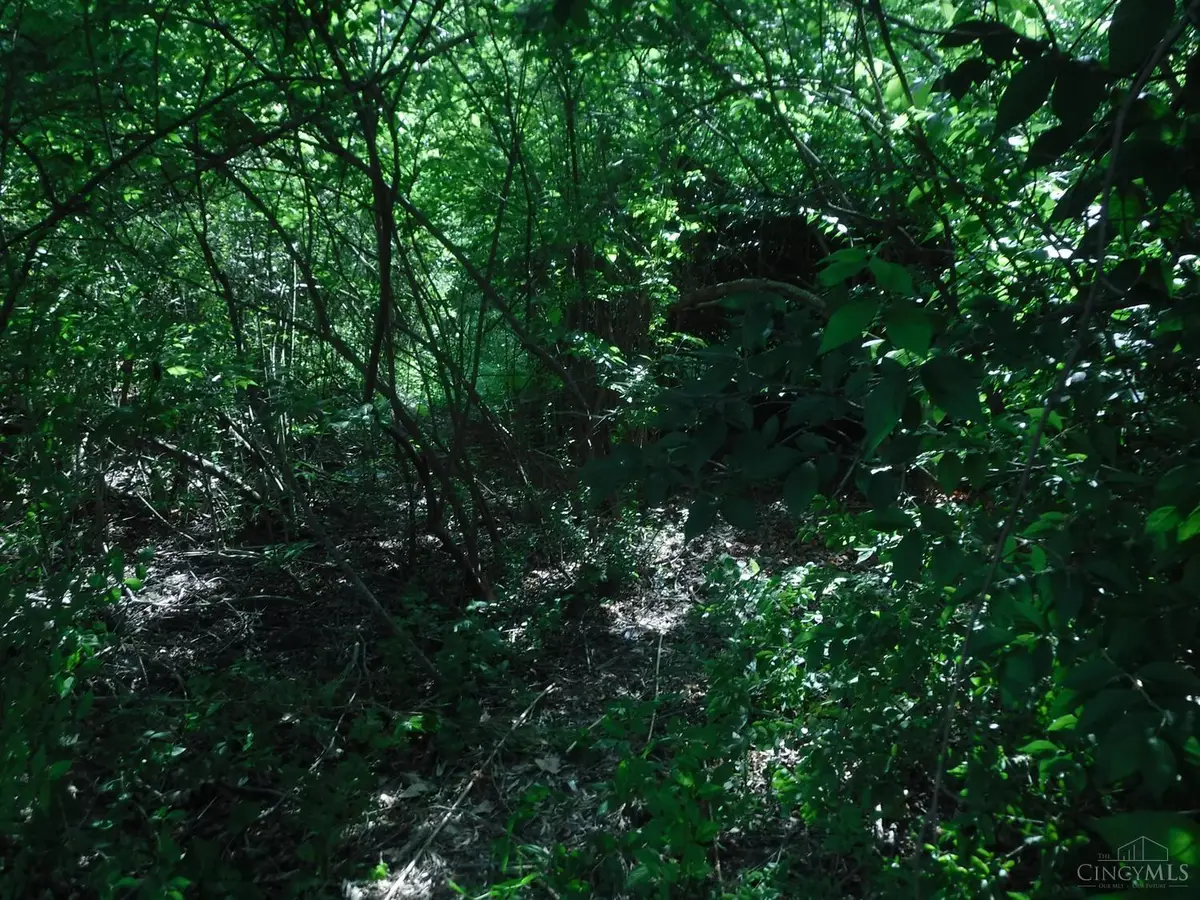 14703 Brier Hill Road, Paint, OH 45133 - Image #1