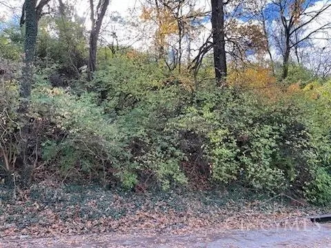 521 Tafel Street, Cincinnati, OH 45225 - Image #2