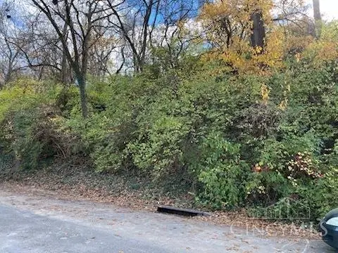 521 Tafel Street, Cincinnati, OH 45225 - Image #3