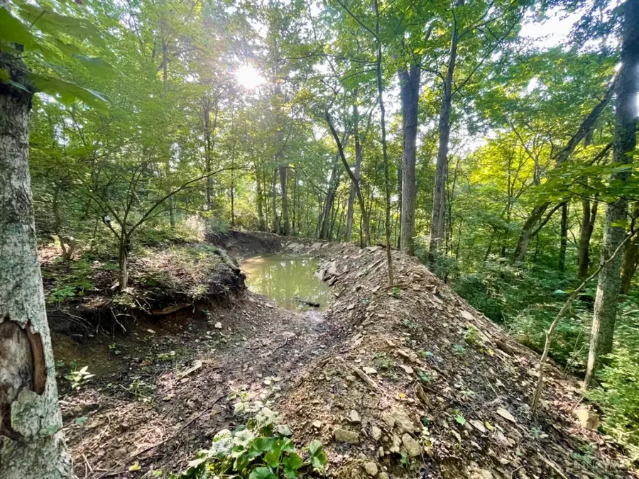 22759 Nirvana Lane, Miller, IN 47060 - Image #3