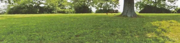 4798 North Bend Road, Green Twp, OH 45211