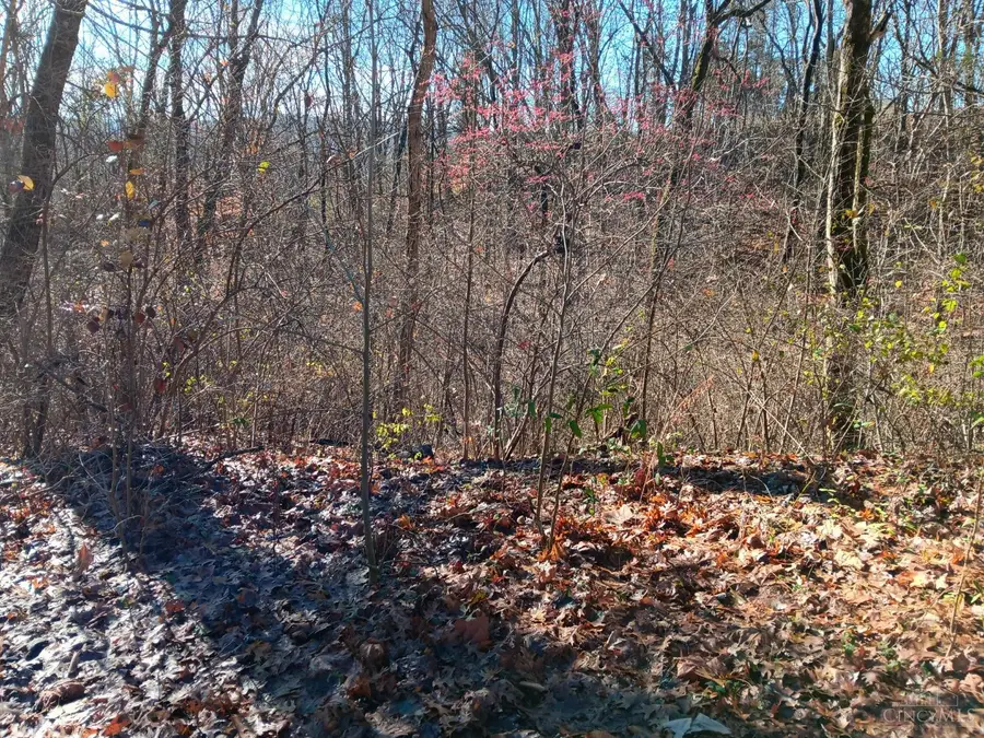 0 Alpine Terrace, Pierce Township, OH 45157 - Image #2