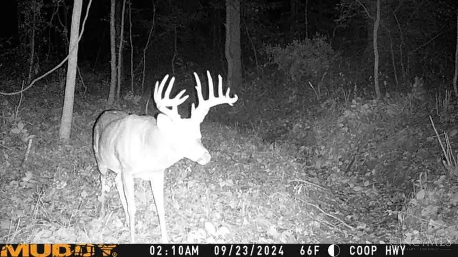 0 W Co Rd 350 S, Columbia, IN 47331 - Image #3