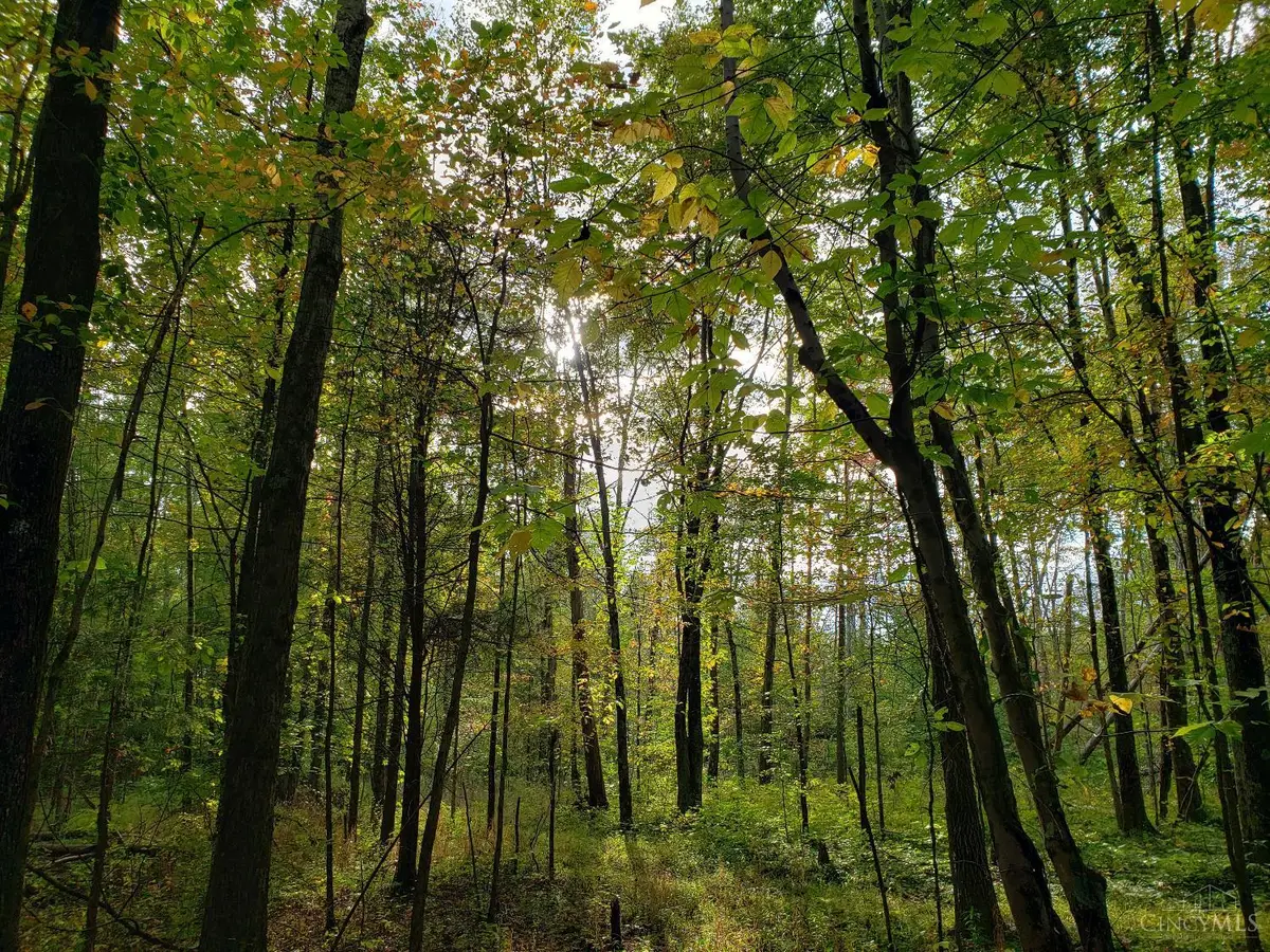 2698 Runway Avenue, Tate Township, OH 45106 - Image #1