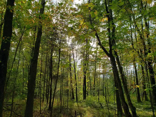 2698 Runway Avenue, Tate Twp, OH 45106