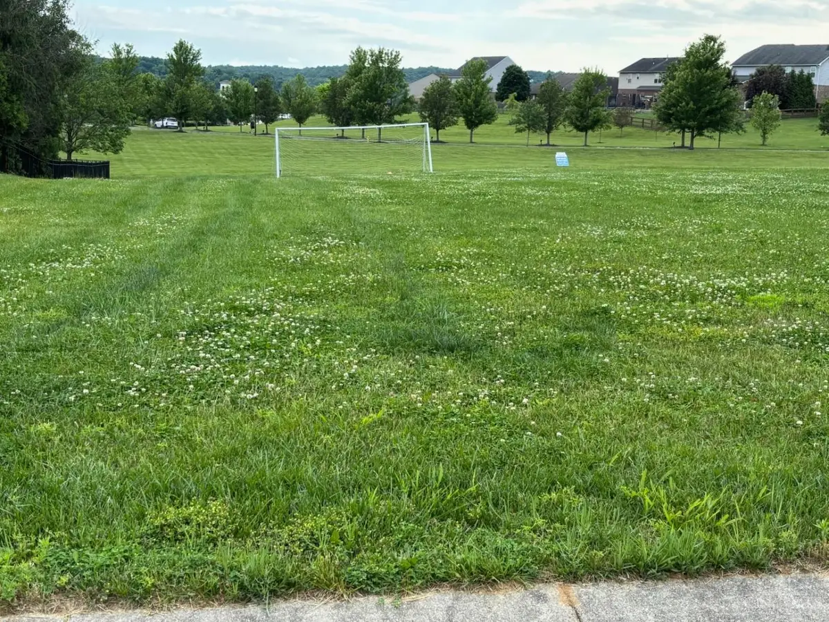 6875 Chapel Lane, New Baltimore, OH 45030 - Image #1