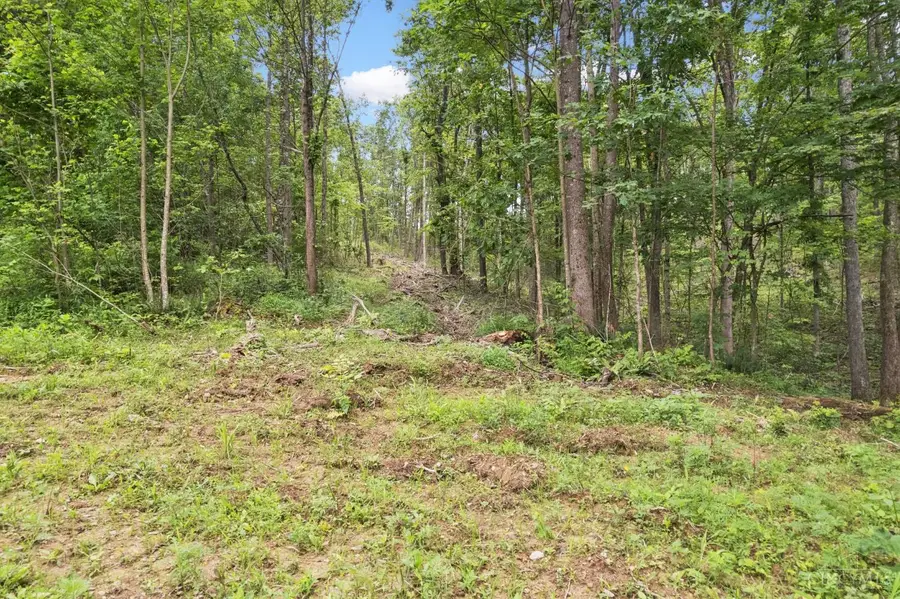 0 Black Hollow Road, Peebles, OH 45660 - Image #3