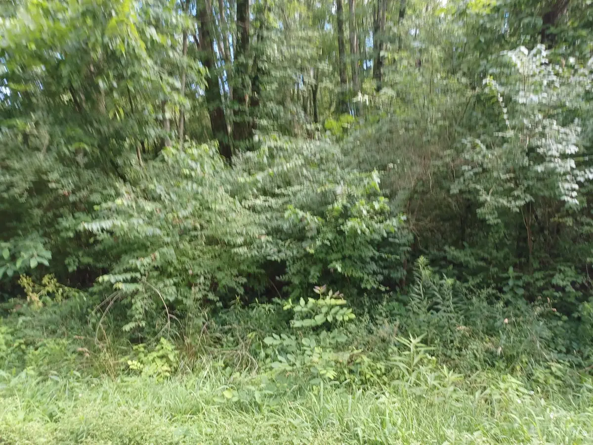 0 Bigam Road, Batavia, OH 45103 - Image #1