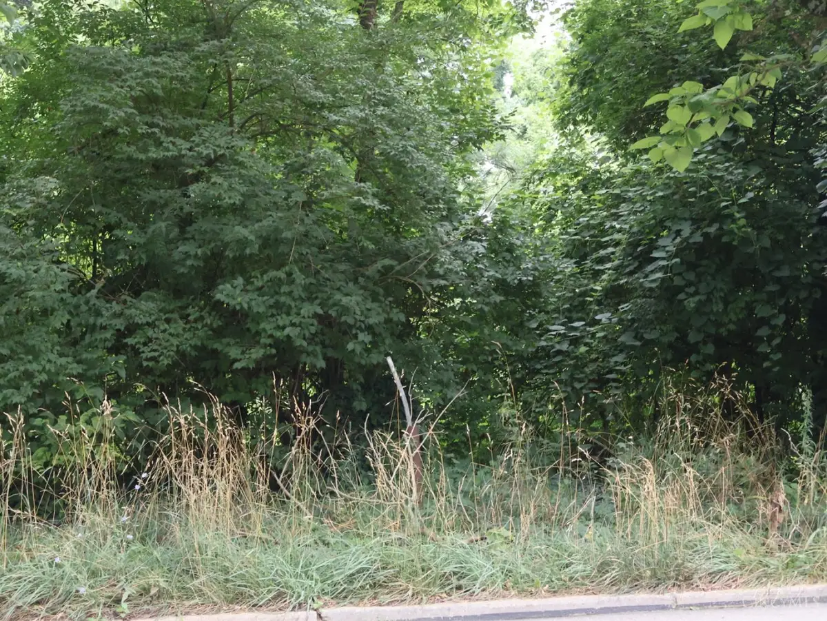 863 Rockdale Avenue, Cincinnati, OH 45229 - Image #1