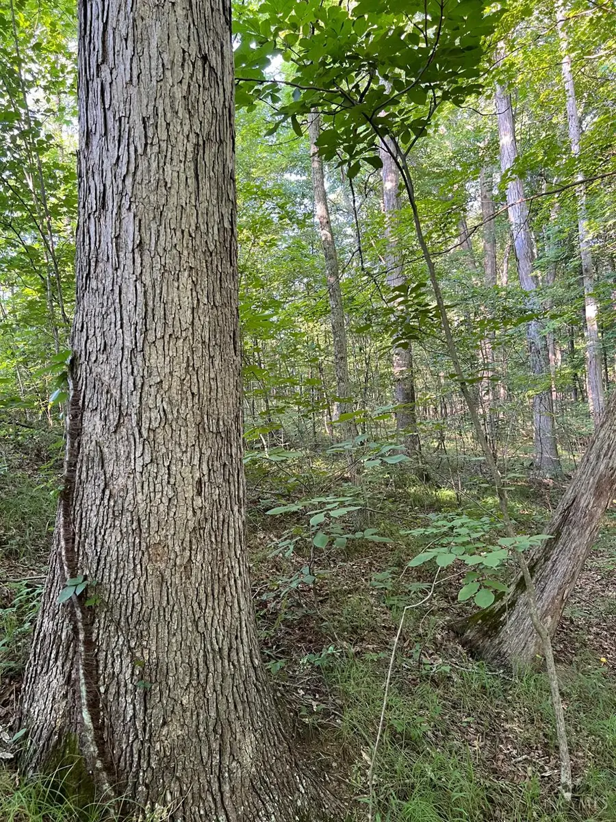 0 Tabernacle, Chillicothe, OH 45601 - Image #3