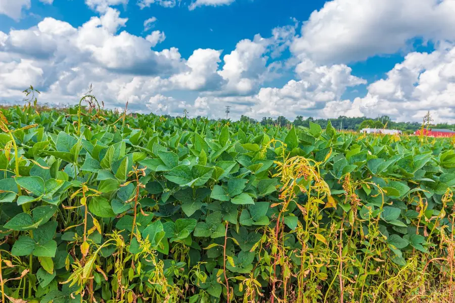 0 Tranquility Pike, Seaman, OH 45679 - Image #3