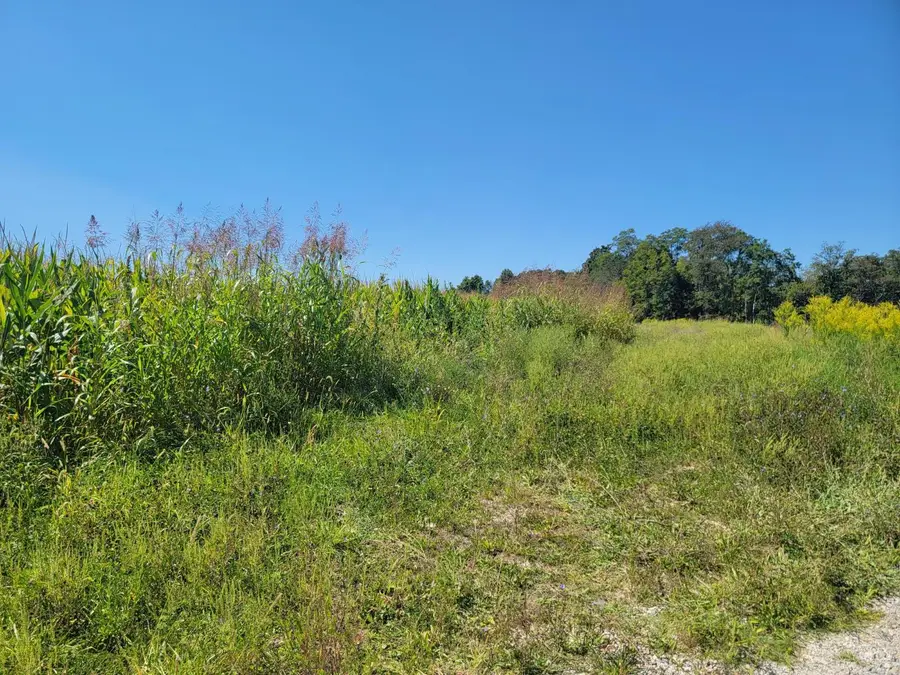 Address Withheld By Seller, Versailles, IN 47042 - Image #2