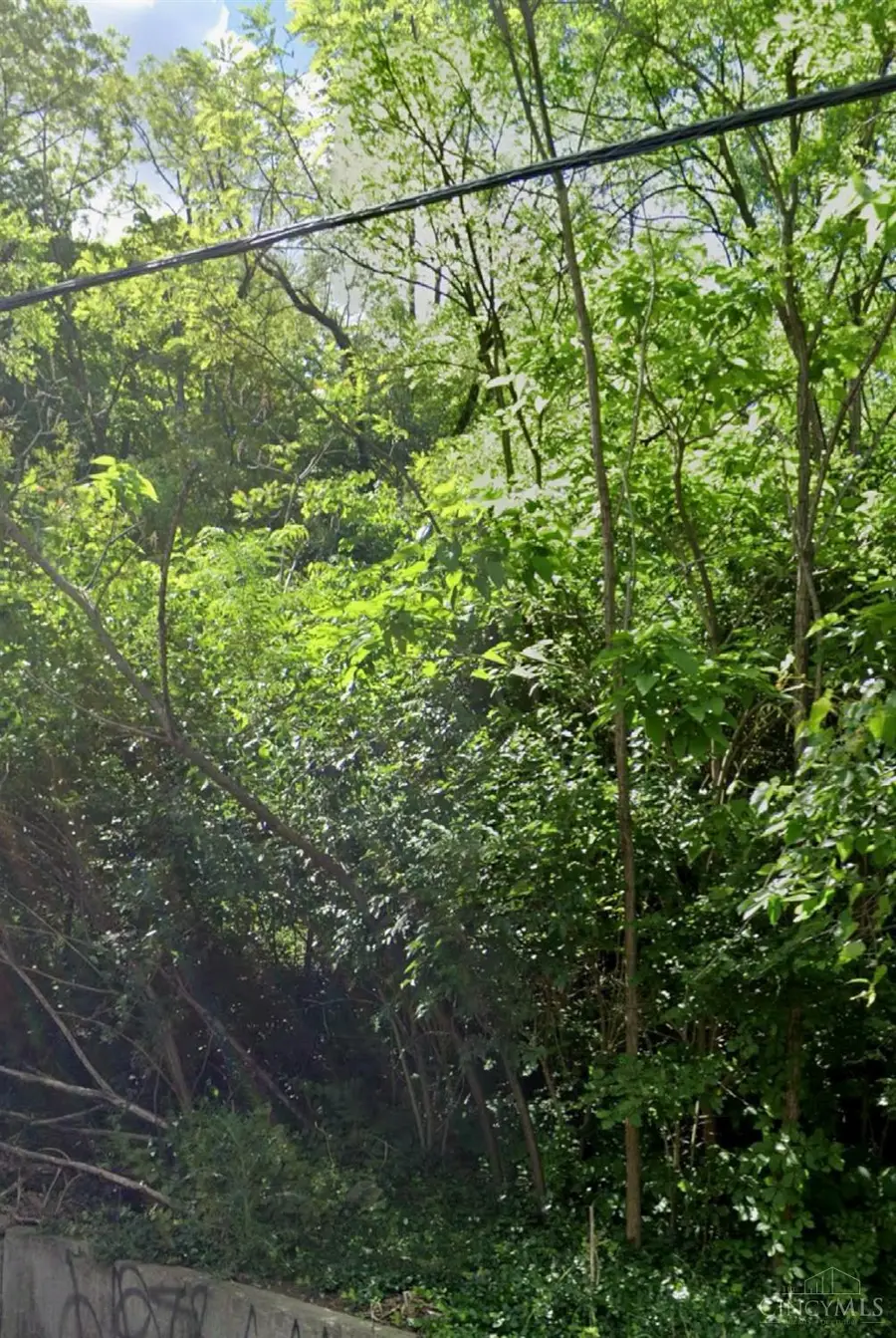 773 Straight Street, Cincinnati, OH 45214 - Image #2